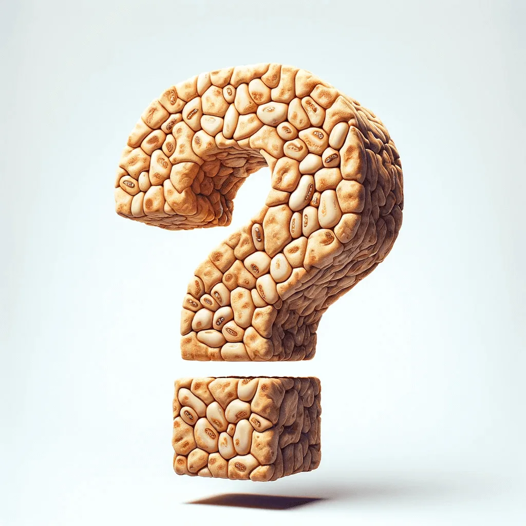 Een vraagteken gemaakt van tempeh